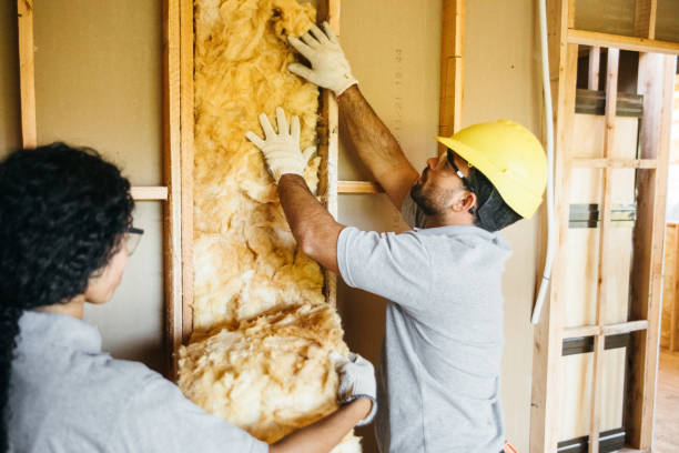 Best Insulation for New Construction  in Bellefonte, PA